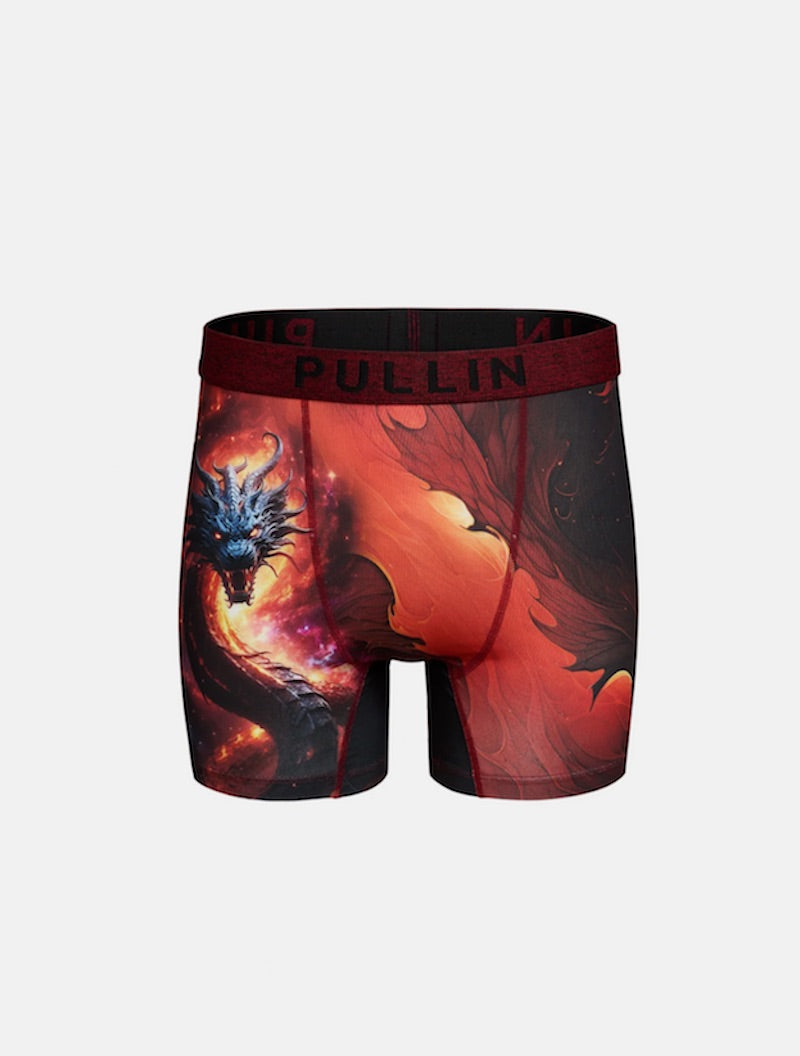 Boxer Homme PULLIN Fashion 2 DRAGOS