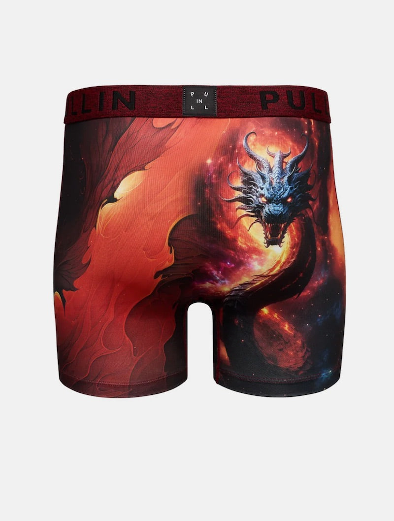 Boxer Homme PULLIN Fashion 2 DRAGOS